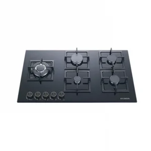 ������ �� ������ 5 ����� ��� HAS-905GBMCB