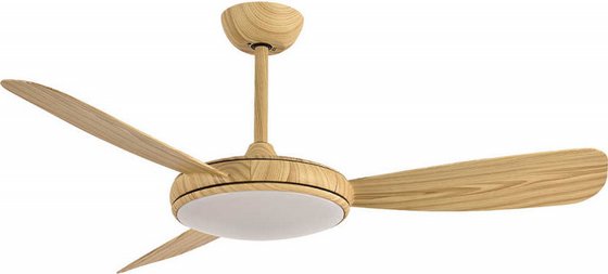 ������ ���� 42 ��� ROY - ��� ��